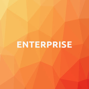 Enterprise Website Design and Development Plan